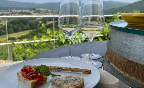 Wine tasting over the vineyard